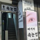 씨씨즈미용실 | [부천] 부천역 속눈썹 연장 : 씨씨즈 아이래쉬