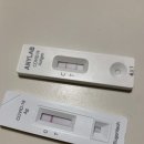 나눔약국 | 코로나 확진 후기-1/천안 으뜸이비인후과(일요일진료), 호텔 취소, 대면 진료(수액)