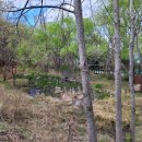 (주)나비원 이미지