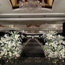 보리쌀롱 | 서울 롯데호텔 소공 웨딩홀 투어 후기 | 크리스탈 볼룸 vs 사파이어홀 비교 &amp; 27년 하반기 견적 공유...