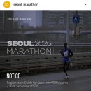 2026년 서울국제마라톤대회 이미지