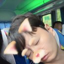 샵아이스크림호수 이미지