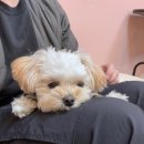 멍돌하우스 이미지