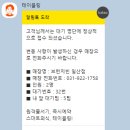 브런치빈 일산점