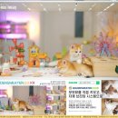 문캐터리 | 마포 캐터리에서 만난 고양이가 우리 삶을 바꾼 이야기