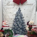 젤리펫살롱 with 아로마 이미지