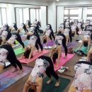 치유요가 이미지