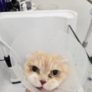 신원장 쌀롱