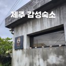 선흘낭 | [제주][함덕][숙소공유] 에어비앤비 감성숙소 추천 &#39;선흘낭&#39; 내돈내산 후기
