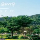 러브팜캠핑장 이미지