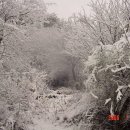 은하수와 여울 이미지