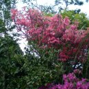 부영농장 이미지