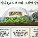 지에스(GS)25춘천전원길 | 제주 명문 엘리시안제주CC 골프회원권 시세 및 혜택 완벽 분석 (GS건설의 품격, 무기명 정보 포함)
