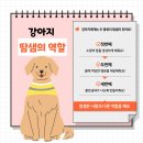 movepet 이미지