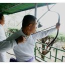 진해상사 이미지