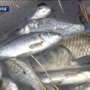 굴포천 R 이미지