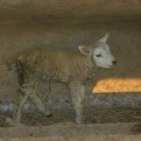 가신원통길 이미지