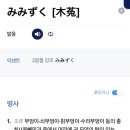 미미즈쿠