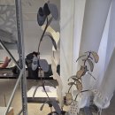 『마주하다』展 start 프로그램 나 같은 것 그리기 | 청주 국립현대미술관 실내 데이트 코스 '보이는 수장고' 탐방