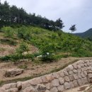 대지농장 네이버블로그