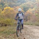 화촌면사무소 이미지