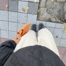 시은순환요가