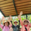 🌼 가을 나들이: 광한루원 &amp; 임실 치즈테마파크 체험 이미지