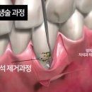 바른이웃치과의원 이미지