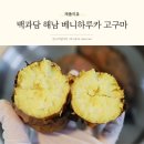 해남 베니하루카 고구마 추천 달콤한 꿀맛 백과담