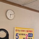 본가로간암퇘지