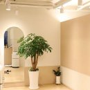 힐리프필라테스 - 성남시 중원구 산성대로 356 | 힐리프필라테스
