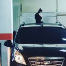 한전자동차공업사 | 토토로의 아홉번째차, 2010 마티즈 크리에이티브 (온비드 공매낙찰 후기)