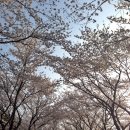 천봉 이미지