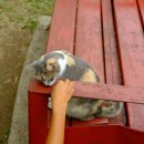 테라스파크 광장 | [페루, 볼리비아] #3 / 리마 -> 쿠스코 / 케네디 파크, 쿠스코 공항에서 아르마스 광장