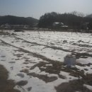 고향자녀농장 이미지