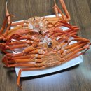 한 수산 | 포항 죽도시장 수율좋은 홍게 성후수산 택배주문해서 게 파티 한 후기