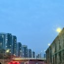 스위트99 - 광명시 | 반클리프 알함브라 마더오브펄 팔찌 스위트 매장 구매 후기 착샷 가격 샤워할 때 껴도 될까?