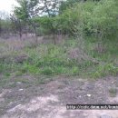 개울가펜션 이미지