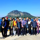아모레 백마 - 549199 | 제주도 미니버스타고 여행>_<♡