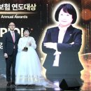 연도 데일리안