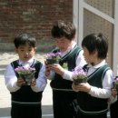 금잔디유치원 이미지