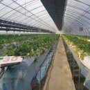 산소농장 이미지