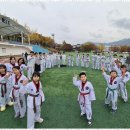 하랑태권도 이미지