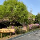 춘천숲자연휴양림엔글램핑 네이버블로그
