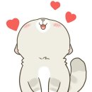 굿나잇