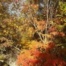 영동어죽 이미지