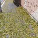 구리전통시장 이미지