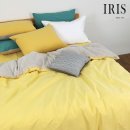 아이리스 이미지