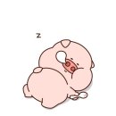 울트라짐 이미지