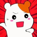 시아의 여행 이미지